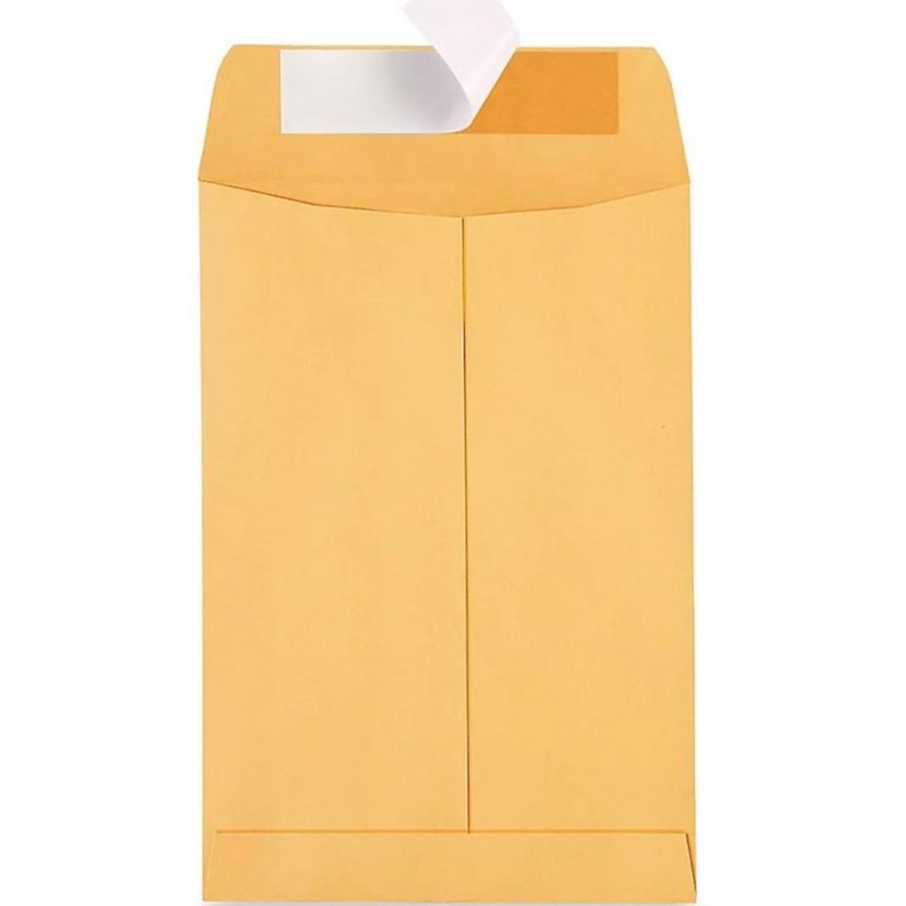 Pro Grade Self Sealing Envelopes